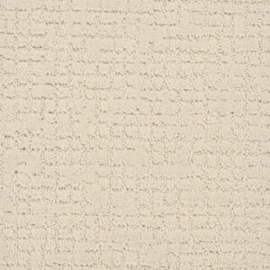 Dreamweaver Carpet Modern Edge Vanilla Whip Carpet 2825_6022