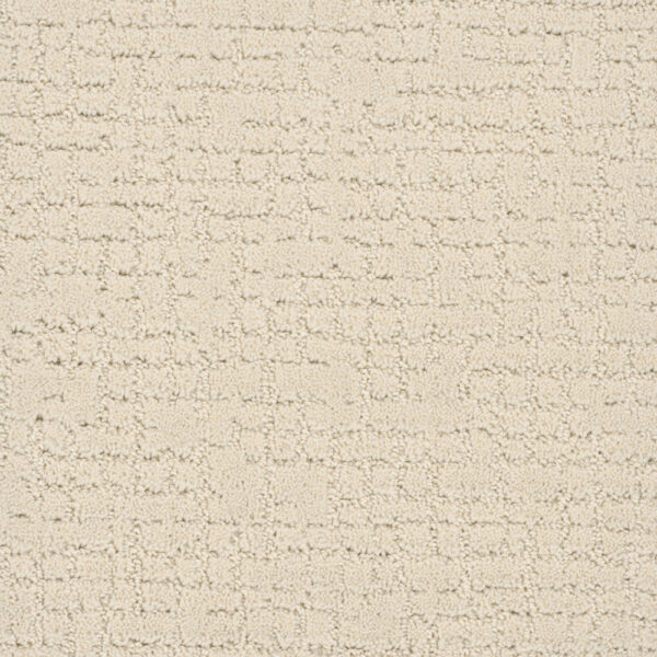 Dreamweaver Carpet Modern Edge Vanilla Whip Carpet 2825_6022