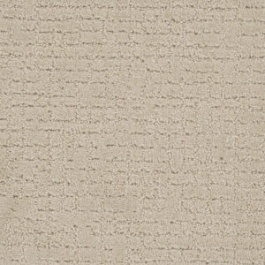 Dreamweaver Carpet Modern Edge Champagne Fizz Carpet 2825_6309