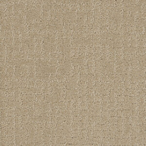 Dreamweaver Carpet Modern Edge Soft Pine Carpet 2825_6317