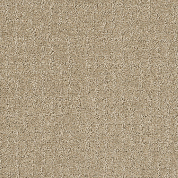 Dreamweaver Carpet Modern Edge Soft Pine Carpet 2825_6317