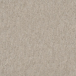 Dreamweaver Carpet Finishing Touch Cosmo Carpet 2835_2849