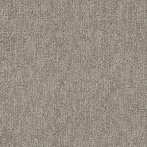 Dreamweaver Carpet Finishing Touch Greige Carpet 2835_2850