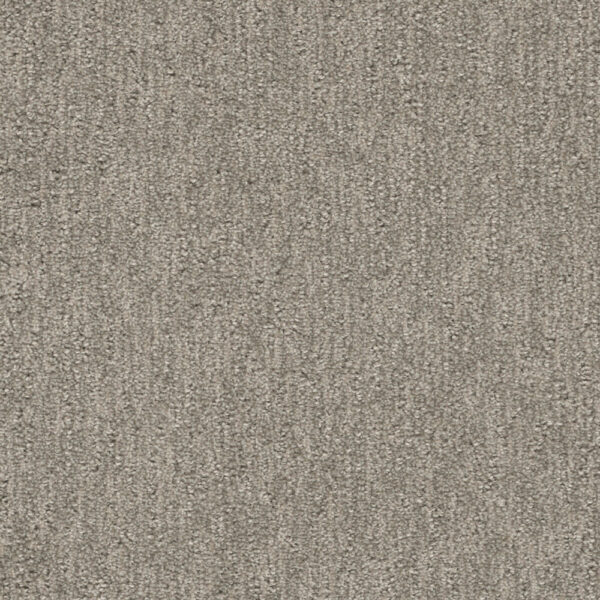Dreamweaver Carpet Finishing Touch Greige Carpet 2835_2850
