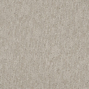 Dreamweaver Carpet Finishing Touch Vintage China Carpet 2835_2851