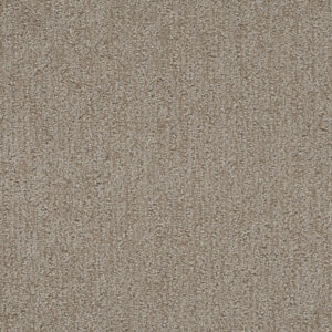 Dreamweaver Carpet Finishing Touch Old Soul Carpet 2835_2870