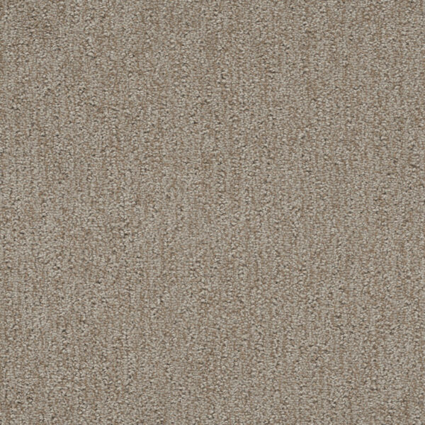 Dreamweaver Carpet Finishing Touch Old Soul Carpet 2835_2870