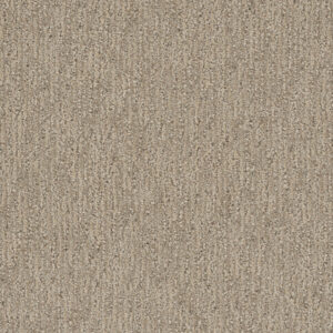 Dreamweaver Carpet Finishing Touch Dulce Carpet 2835_2937