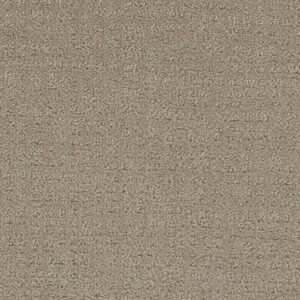 Dreamweaver Carpet Common Ground FIELDCREST Carpet 2845_6001