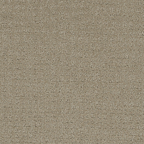 Dreamweaver Carpet Common Ground FIELDCREST Carpet 2845_6001