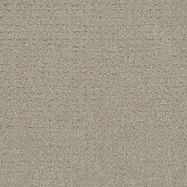Dreamweaver Carpet Common Ground MOON MIST Carpet 2845_6006