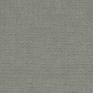 Dreamweaver Carpet Common Ground STILLWATER Carpet 2845_6014