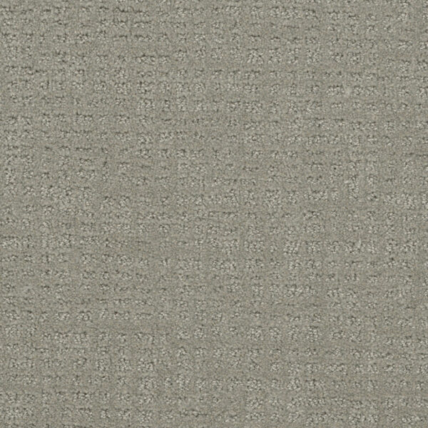 Dreamweaver Carpet Common Ground GRAYSTONE Carpet 2845_6341