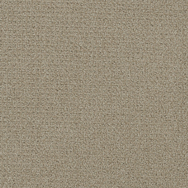 Dreamweaver Carpet Pinpoint Fieldcrest Carpet 2870_6001