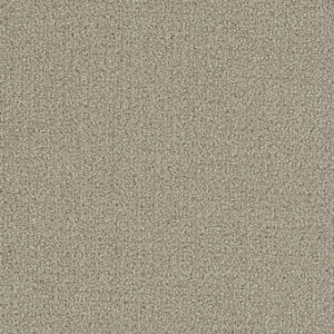 Dreamweaver Carpet Pinpoint Moon Mist Carpet 2870_6006