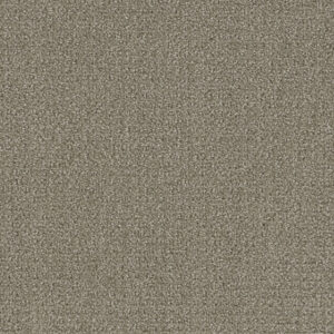 Dreamweaver Carpet Pinpoint Stratosphere Carpet 2870_6054