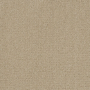 Dreamweaver Carpet Pinpoint Soft Pine Carpet 2870_6317