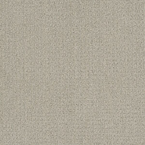 Dreamweaver Carpet Pinpoint Snow Cap Carpet 2870_6319