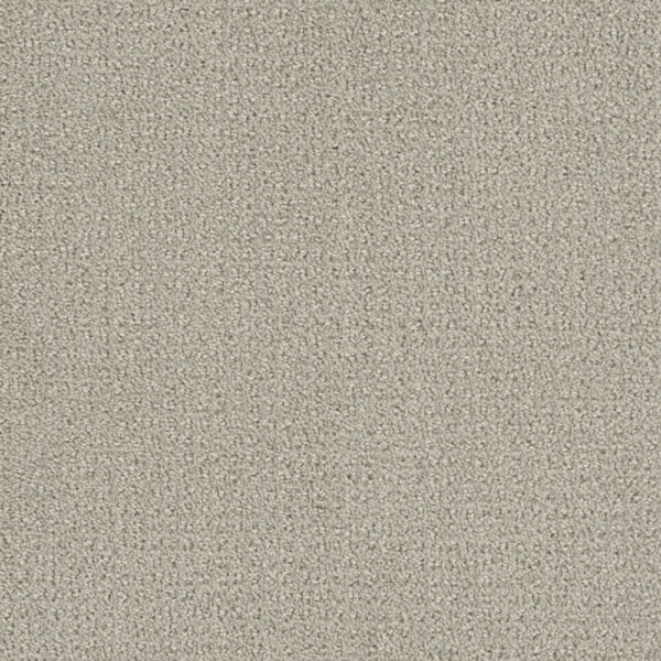 Dreamweaver Carpet Pinpoint Snow Cap Carpet 2870_6319