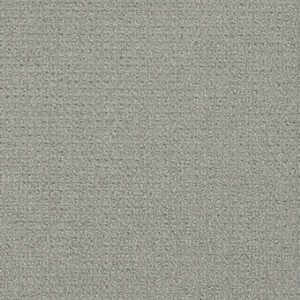 Dreamweaver Carpet Pinpoint Winter Sky Carpet 2870_6327