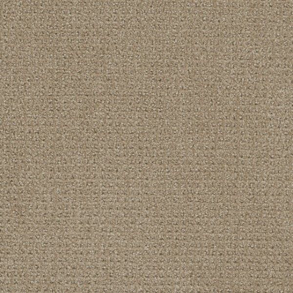 Dreamweaver Carpet Pinpoint Warm Sand Carpet 2870_6339