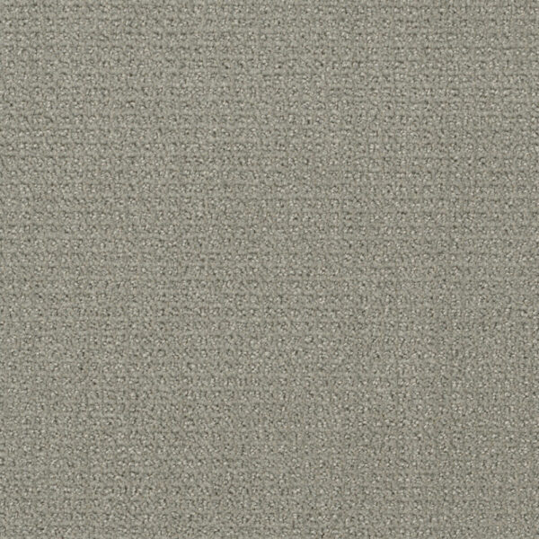 Dreamweaver Carpet Pinpoint Graystone Carpet 2870_6341