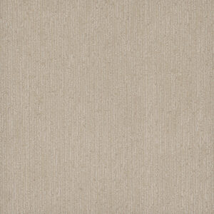 Dreamweaver Carpet Smooth Sailing Beach Butter Carpet 2875_2838