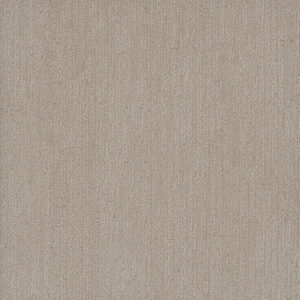 Dreamweaver Carpet Smooth Sailing Cosmo Carpet 2875_2849