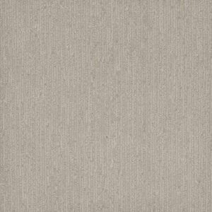 Dreamweaver Carpet Smooth Sailing Heirloom Carpet 2875_2861