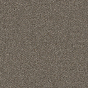 Dreamweaver Carpet Broadcast Plus Field Slate Carpet 3125_477