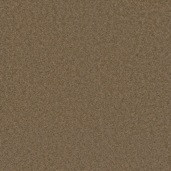 Dreamweaver Carpet Broadcast Honey Beige Carpet 3025_510