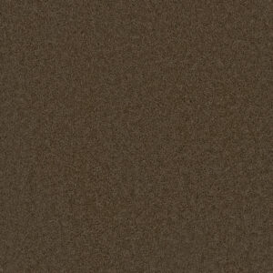 Dreamweaver Carpet Broadcast Plus Latte Carpet 3125_550