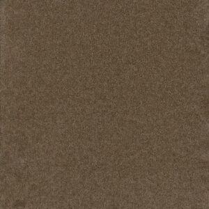 Dreamweaver Carpet Broadcast Plus Balsam Carpet 3125_565