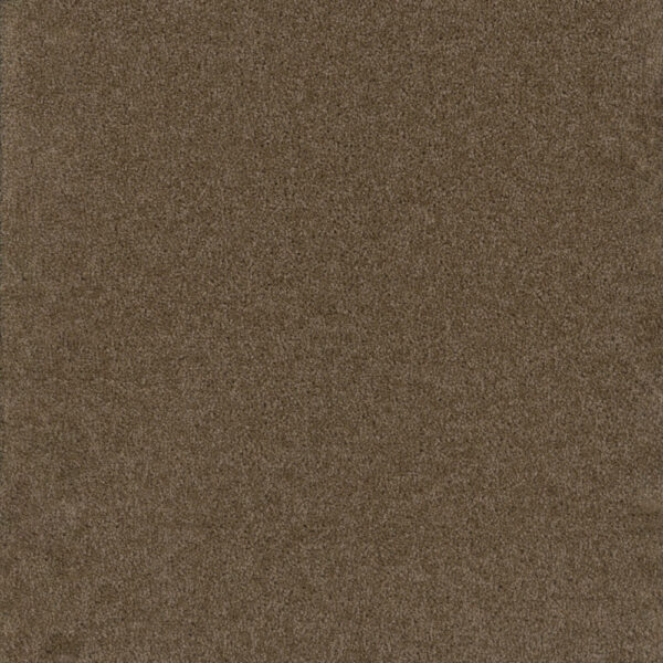 Dreamweaver Carpet Broadcast Balsam Carpet 3025_565