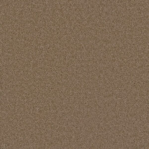 Dreamweaver Carpet Broadcast Plus Sandstone Carpet 3125_715