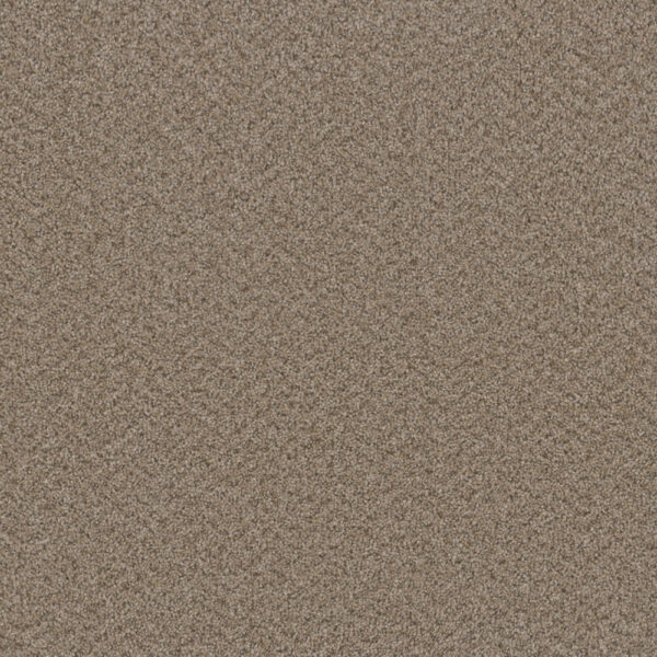 Dreamweaver Carpet Broadcast Plus Almond Carpet 3125_782