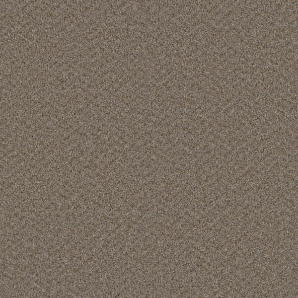 Dreamweaver Carpet Broadcast Plus Cinder Carpet 3125_835