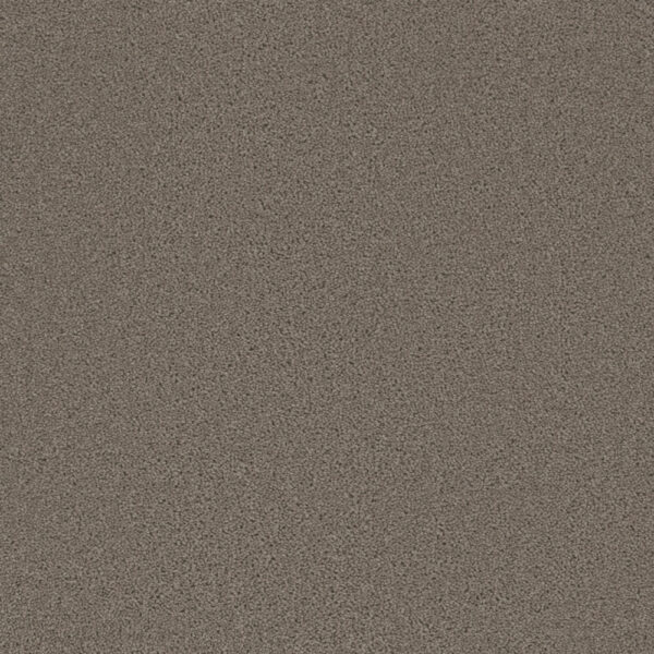 Dreamweaver Carpet Broadcast Castle Carpet 3025_945