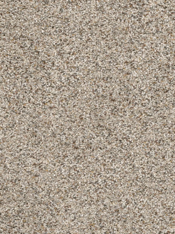 Dreamweaver Carpet Confetti II Silver Mist Carpet 3148_154