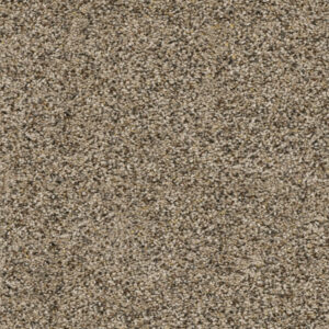 Dreamweaver Carpet Confetti II Cadence Carpet 3148_776