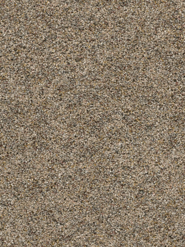 Dreamweaver Carpet Confetti III Harmonic Tan Carpet 3160_795