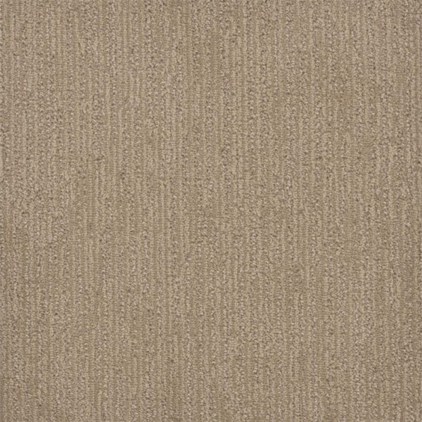 Dreamweaver Carpet Surfside Almond Bark Carpet 3228_2025