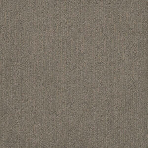 Dreamweaver Carpet Surfside Castleberry Carpet 3228_2332