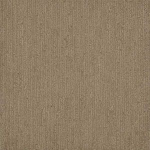 Dreamweaver Carpet Surfside Tanglewood Carpet 3228_5069