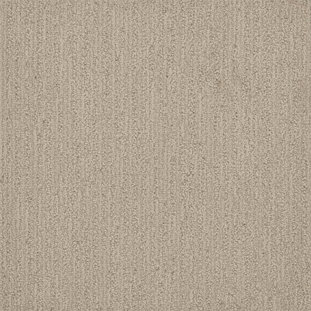 Dreamweaver Carpet Surfside Blizzard Blast Carpet 3228_5110