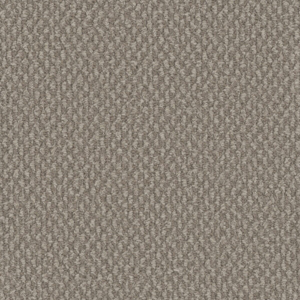 Dreamweaver Carpet Galactic Pebble Hill Carpet 3230_2081