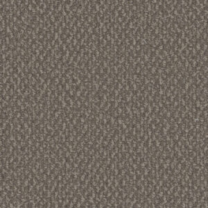 Dreamweaver Carpet Galactic Molasses Carpet 3230_2317