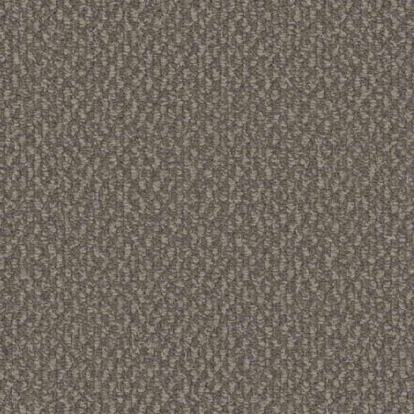 Dreamweaver Carpet Galactic Molasses Carpet 3230_2317