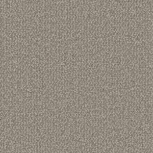 Dreamweaver Carpet Interstellar Pebble Hill Carpet 3236_2081