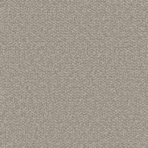 Dreamweaver Carpet Interstellar Ivory Coast Carpet 3236_2143